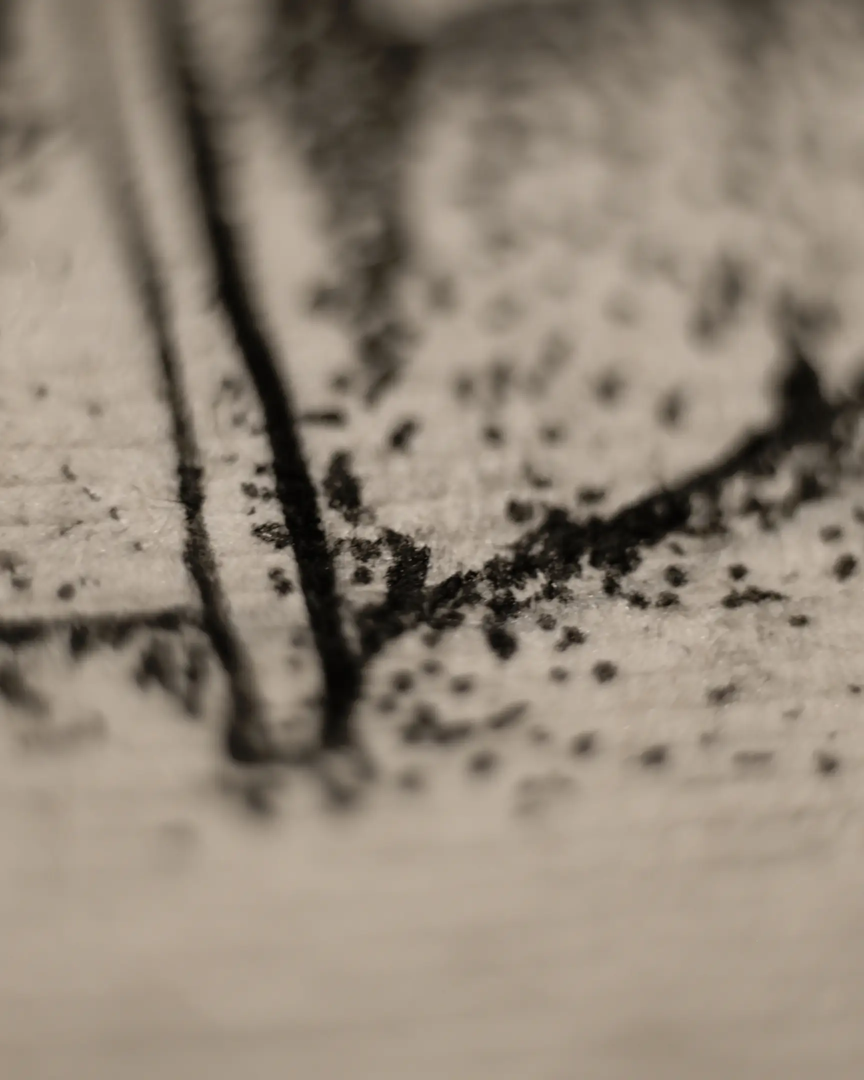 Textured handmade paper meets a pen that resists every pressure, dictating its own rules to the artist. In this noble confrontation, unique ink patterns are born. They merge into a single composition, conveying to the viewer that very unique mood for which Vselenskyi’s works are cherished.