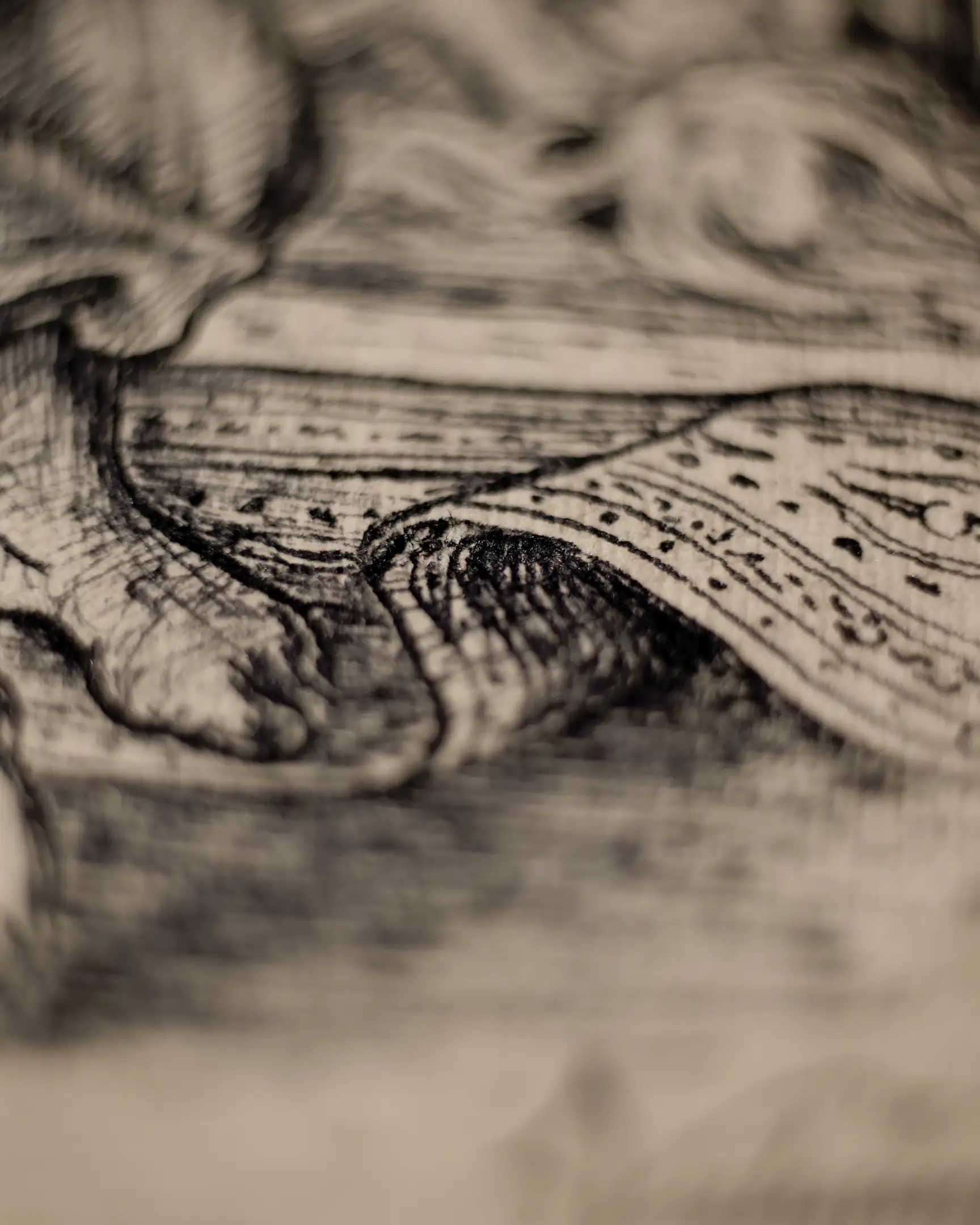 In this perspective, the focus shifts to the action itself. Contrasting lines highlight muscle tension and the texture of coarse clothing, creating a visual rhythm that guides the viewer's eye along the character's movement toward his goal.