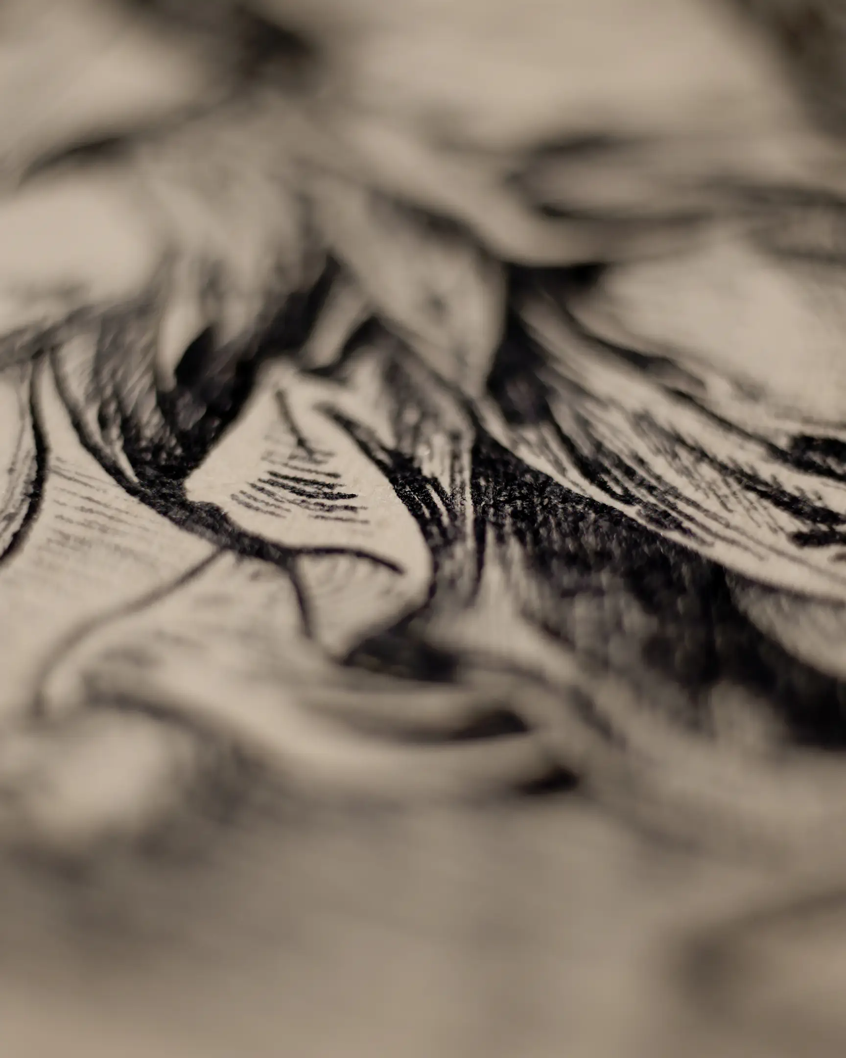 This shot is completely abstract from the narrative, focusing on the artwork's materiality. The focus is on the masterful control of the stroke: from the deep, dense shadows created by cross-hatching to the light, barely perceptible touches of the needle. The image allows appreciation of the interaction between the ink and the paper's surface, revealing its fibrous structure and tactile texture, emphasizing the authenticity of the antique printing technique.