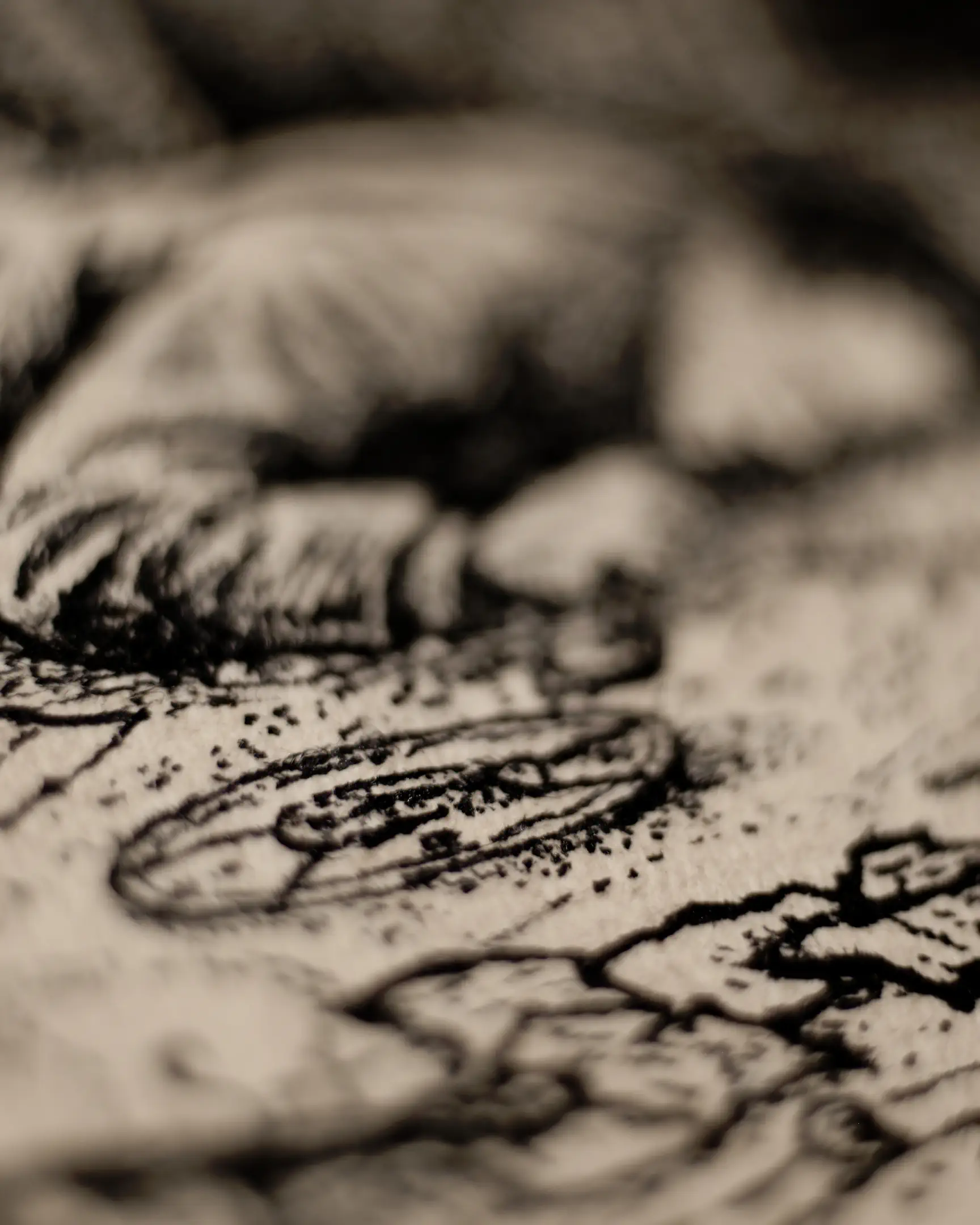 This close-up view reveals the masterful precision of the dip pen technique. The interplay between the dark iron gall ink and the textured surface of the antique paper highlights the organic, historical feel inherent in the VSELÉNSKYI aesthetic.