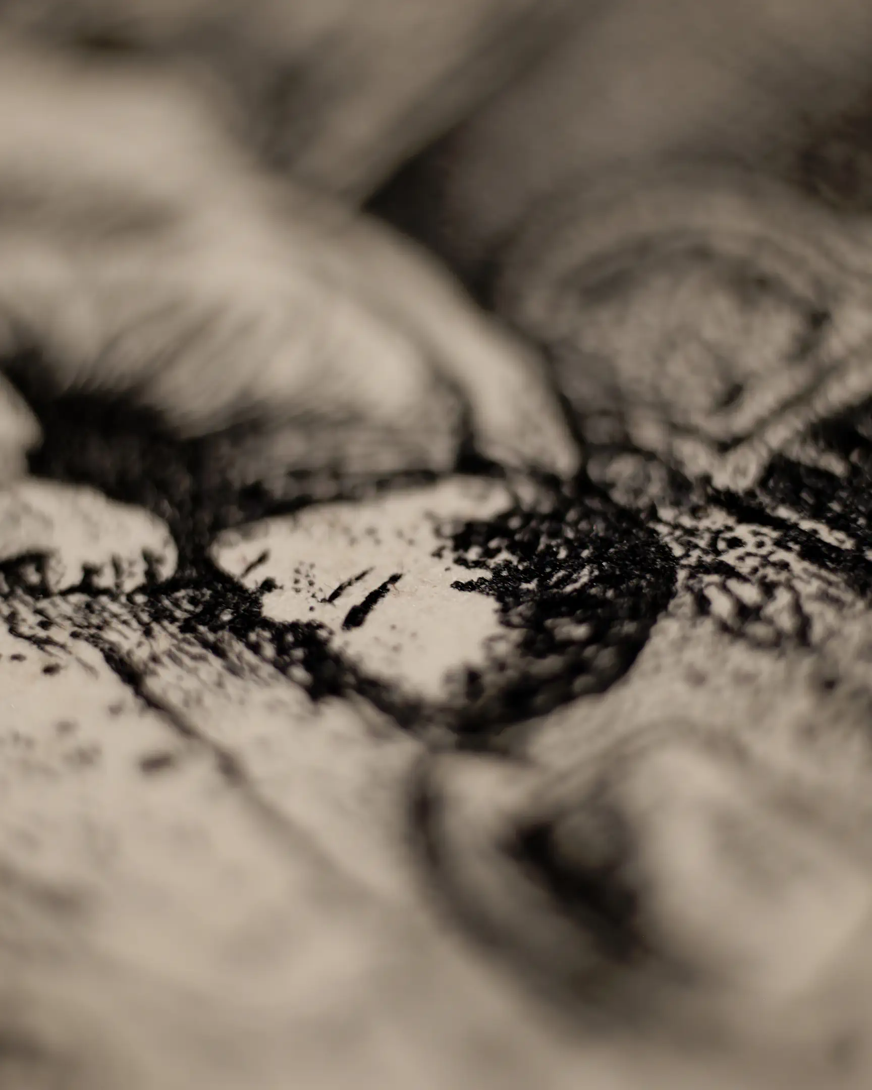 This perspective emphasizes the physical depth of the ink on the page. By utilizing varying densities of stippling and linework, the artist creates a powerful sense of form and atmosphere, characteristic of the 19th-century academic realism style.